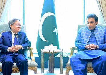 Hamza Shehbaz, Chinese Envoy Discuss CPEC and Trade