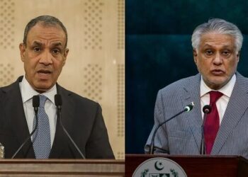 Pakistan and Egypt Reaffirm Support for Saudi Arabia